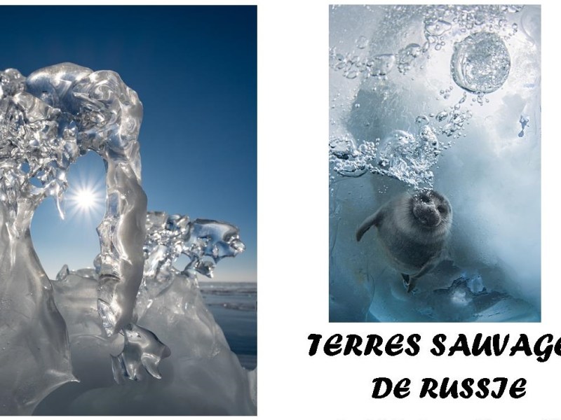 &laquo;&nbsp;Terres sauvages de Russie&nbsp;&raquo; à l&rsquo;Ancien Musée de&nbsp;Peinture