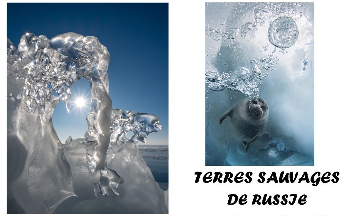 &laquo;&nbsp;Terres sauvages de Russie&nbsp;&raquo; à l&rsquo;Ancien Musée de&nbsp;Peinture